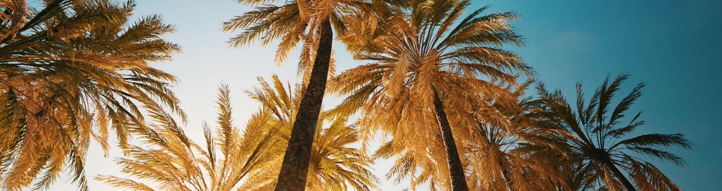 CODE 01 | American style Jimny custom parts: Liberte front & rear bumper and face grille Su11 combination