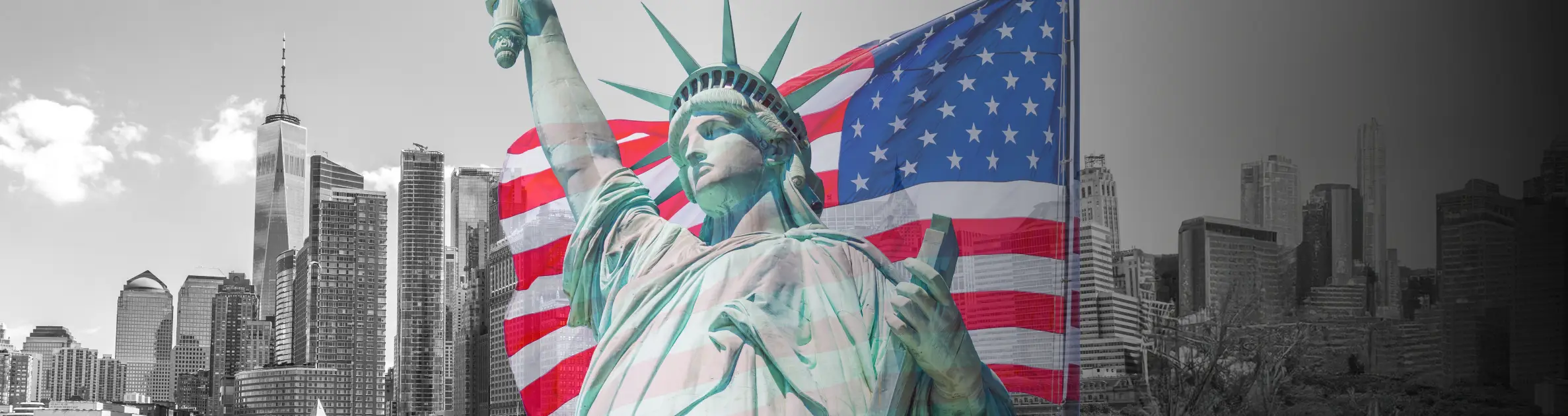 CODE 11 | 相棒がもっと好きになる個性豊かなスタイル：2種類のフェイスカバーとUSテールランプカバー