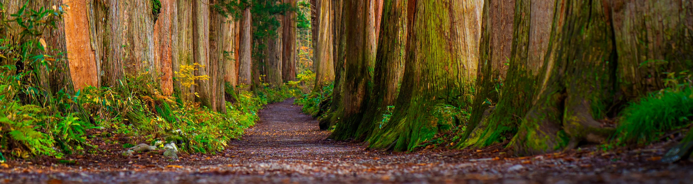 CODE 23｜渋さに光を添える煌めき系バンパースタイル：ミディアムグレーの落ち着きを、上質な輝きで格上げ。ビヨンドジャパンの厳選パーツが、洗練とオフロード感を両立する新しい選択肢に。